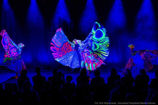 PW_483_012_fot. Piotr Wojnarowski.jpg-Art Color Ballet, zdjęcia, występ, Manggha