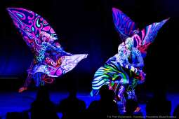 PW_483_013_fot. Piotr Wojnarowski.jpg-Art Color Ballet, zdjęcia, występ, Manggha
