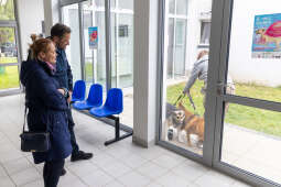 20250517-BSK_3621.jpg-Spacer prezydenta z psami ze schroniska