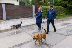 20250517-BSK_3698.jpg-Spacer prezydenta z psami ze schroniska