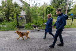 20250517-BSK_3723.jpg-Spacer prezydenta z psami ze schroniska