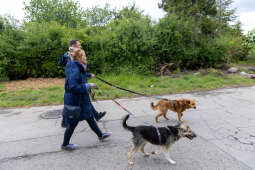 20250517-BSK_3805.jpg-Spacer prezydenta z psami ze schroniska