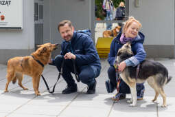 20250517-BSK_3820.jpg-Spacer prezydenta z psami ze schroniska