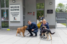 20250517-BSK_3829.jpg-Spacer prezydenta z psami ze schroniska