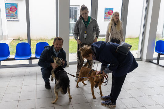 BS-250517-BSK_3634.jpg-WOŚP, Miszalski,Spacer