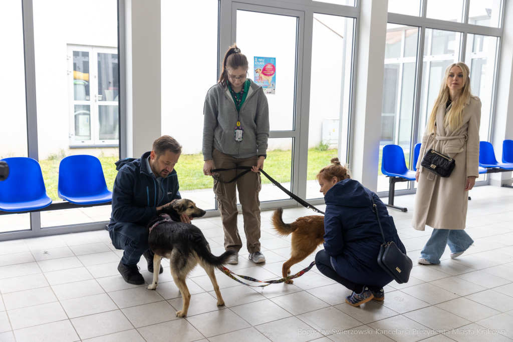 BS-250517-BSK_3645.jpg-WOŚP, Miszalski,Spacer  Autor: B. Świerzowski