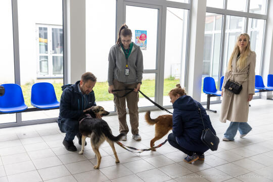 BS-250517-BSK_3645.jpg-WOŚP, Miszalski,Spacer