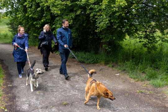 BS-250517-BSK_3782.jpg-WOŚP, Miszalski,Spacer