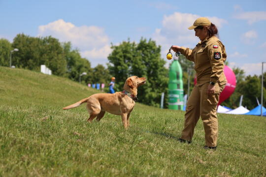 Zdjęcie 25.05.2025, 11 49 23.jpg-Święto, Piknik, Miszalski