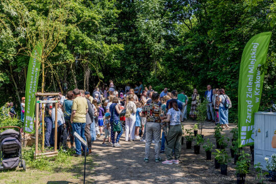 BS-250601-JG_250601_OTO_1852.jpg-Park Aleksandry, Miszalski
