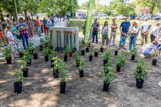 BS-250601-JG_250601_OTO_1867.jpg-Park Aleksandry, Miszalski