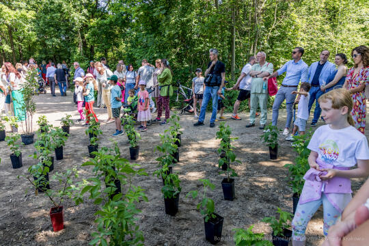 BS-250601-JG_250601_OTO_1879.jpg-Park Aleksandry, Miszalski