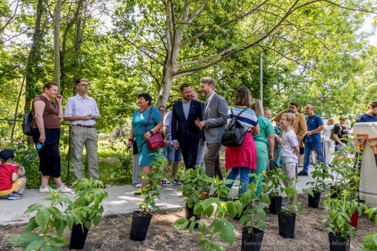 BS-250601-JG_250601_OTO_1937.jpg-Park Aleksandry, Miszalski