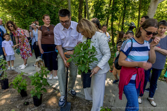 BS-250601-JG_250601_OTO_1995.jpg-Park Aleksandry, Miszalski
