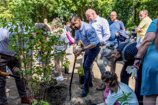 BS-250601-JG_250601_OTO_2029.jpg-Park Aleksandry, Miszalski