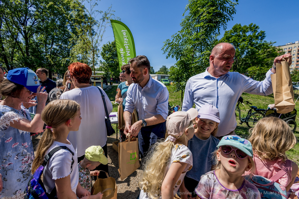 BS-250601-JG_250601_OTO_2125.jpg-Park Aleksandry, Miszalski  Autor: B. Świerzowski