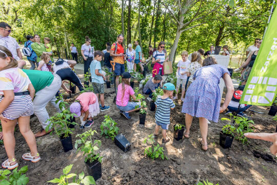 BS-250601-JG_250601_OTO_2217.jpg-Park Aleksandry, Miszalski