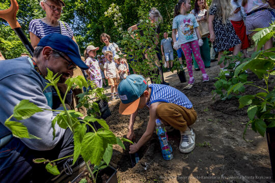 BS-250601-JG_250601_OTO_2219.jpg-Park Aleksandry, Miszalski