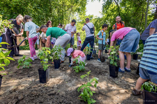 BS-250601-JG_250601_OTO_2221.jpg-Park Aleksandry, Miszalski