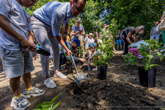 BS-250601-JG_250601_OTO_2223.jpg-Park Aleksandry, Miszalski
