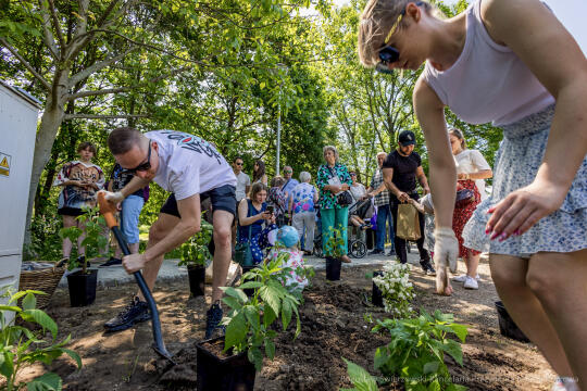 BS-250601-JG_250601_OTO_2233.jpg-Park Aleksandry, Miszalski