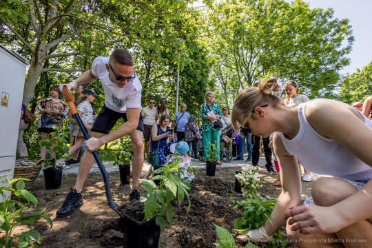 BS-250601-JG_250601_OTO_2236.jpg-Park Aleksandry, Miszalski