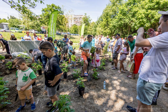BS-250601-JG_250601_OTO_2262.jpg-Park Aleksandry, Miszalski