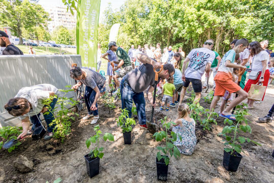 BS-250601-JG_250601_OTO_2265.jpg-Park Aleksandry, Miszalski