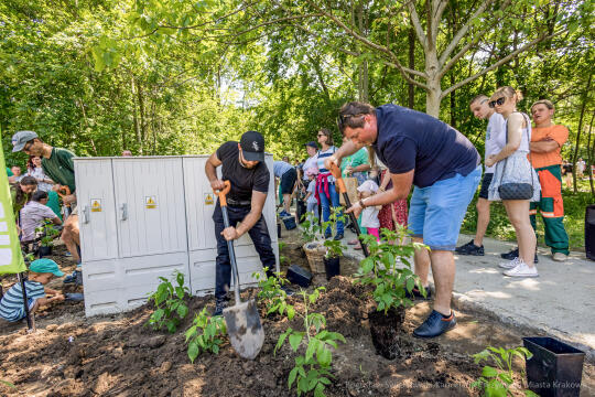 BS-250601-JG_250601_OTO_2273.jpg-Park Aleksandry, Miszalski