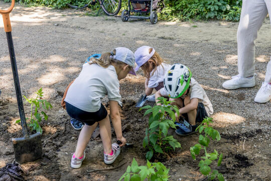 BS-250601-JG_250601_OTO_2389.jpg-Park Aleksandry, Miszalski