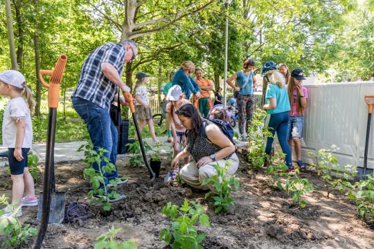 BS-250601-JG_250601_OTO_2394.jpg-Park Aleksandry, Miszalski