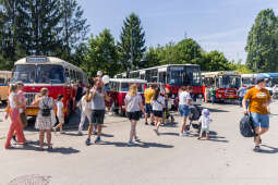 BS-250601-BSK_5828.jpg-Dzień Dziecka, Miszalski