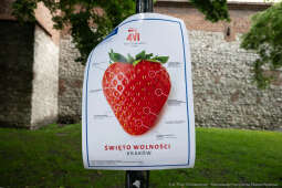 PW_517_001_fot. Piotr Wojnarowski.jpg-Polonez Wolności, Kracik, Rynek, taniec, zdjęcia, rocznica