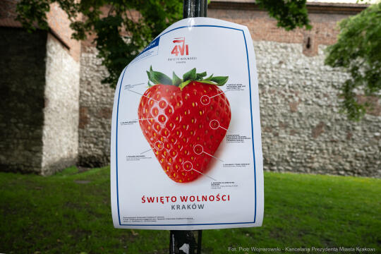 PW_517_001_fot. Piotr Wojnarowski.jpg-Polonez Wolności, Kracik, Rynek, taniec, zdjęcia, rocznica