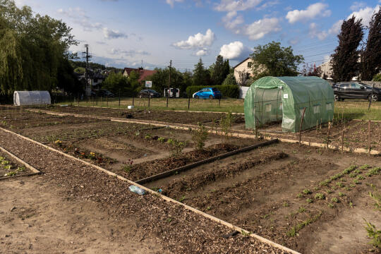 20250609-BSK_4391.jpg-Ogród, Miszalski,