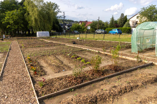 20250609-BSK_4399.jpg-Ogród, Miszalski,