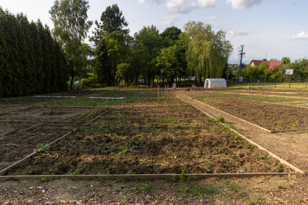 20250609-BSK_4420.jpg-Ogród, Miszalski,  Autor: B. Świerzowski