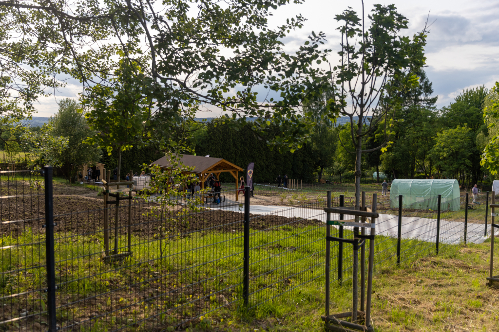 20250609-BSK_4623.jpg-Ogród, Miszalski,  Autor: B. Świerzowski