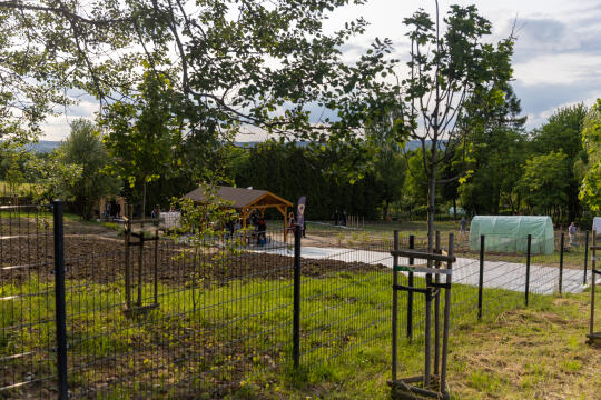 20250609-BSK_4623.jpg-Ogród, Miszalski,