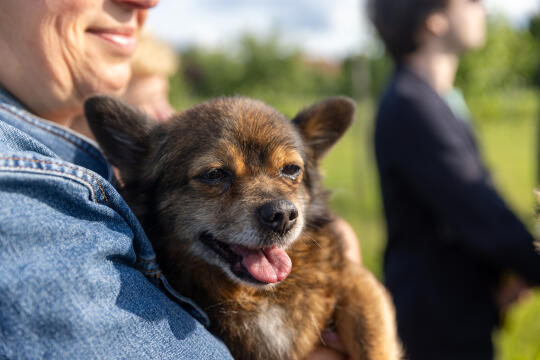 20250609-BSK_4372.jpg-Olszanica, Spotkanie, Mieszkańcy, Miszalski