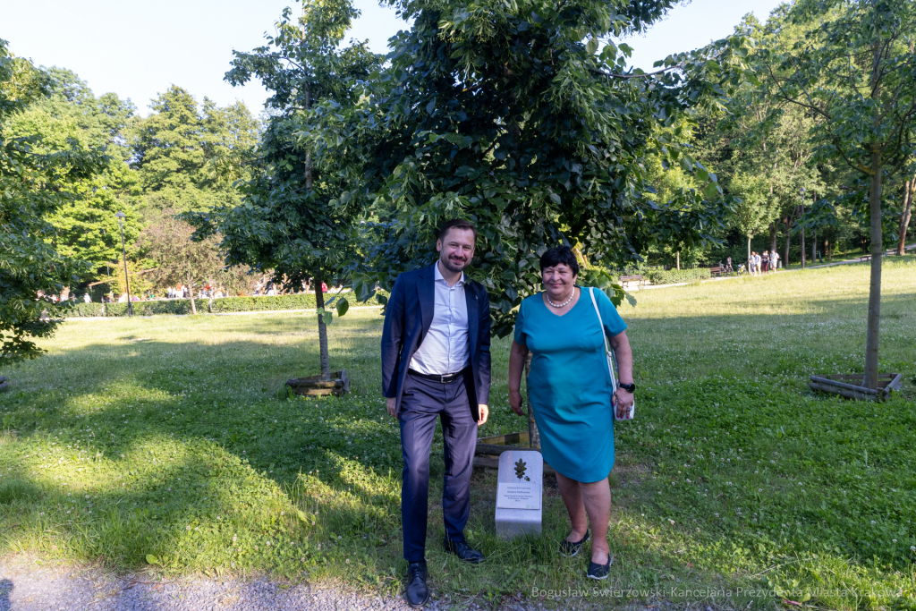 BS-250614-BSK_9083.jpg-Prokocim, Fijałkowska, Miszalski  Autor: B. Świerzowski