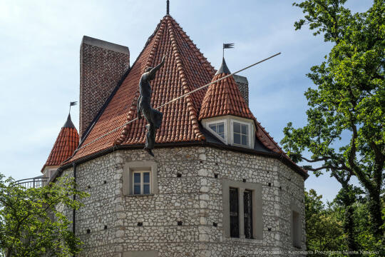 PW_528_002_fot. Piotr Wojnarowski.jpg-Miszalski, ślub, Przegorzały, WOŚP, licytacja