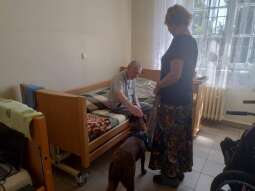 GddZpXz0.jpg-Wizyta Daktyla.