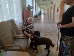 ekdei-Mn.jpg-Wizyta Daktyla.