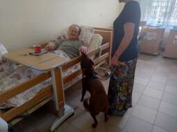 fkNtgnoP.jpg-Wizyta Daktyla.