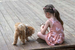 Miszalski, Sęk, Wadów, festyn, zabawa, Kabaret Julki, dzielnica XVII