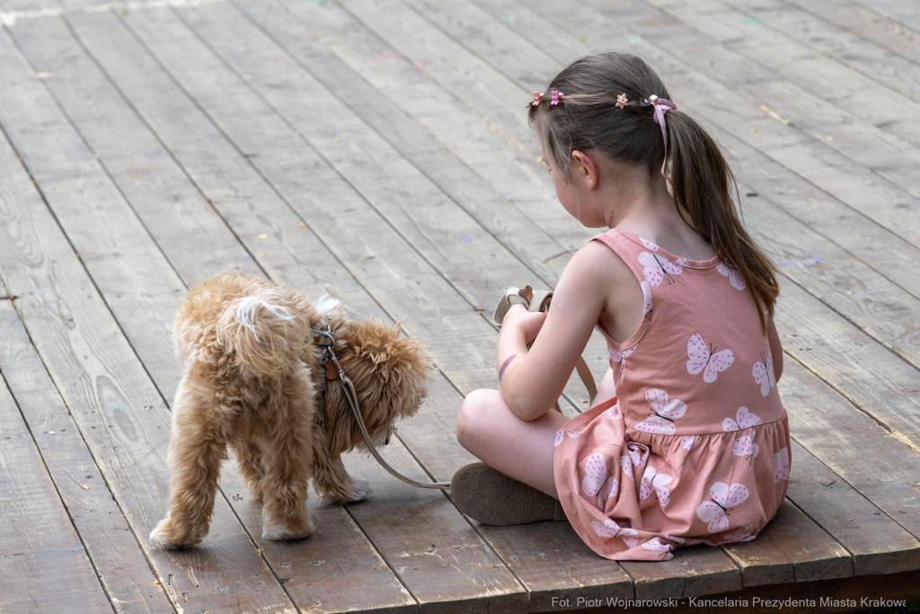 Miszalski, Sęk, Wadów, festyn, zabawa, Kabaret Julki, dzielnica XVII  Autor: P. Wojnarowski