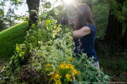 Miszalski, Kopiec Wandy, powitanie lata, strawa pod kopcem, OKN Norwida, Nowa Huta