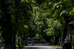 20250508-BSK_9043.jpg-Rynek, Widoki, Planty
