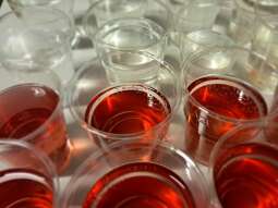 20250710_100518.jpg-8 DZIEŃ SPORTU W NASZYM DOMU